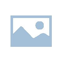 鄭州滅老鼠公司管用嗎？